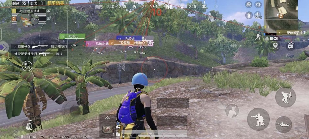 和平精英辅助《艾丽斯》